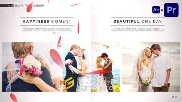 AE/PR模板-婚礼相册婚纱照片展示动画幻灯片视频