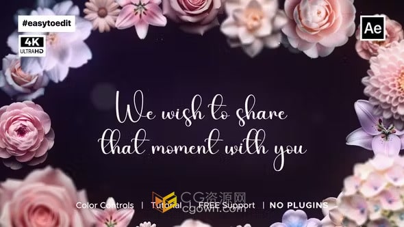 浪漫柔和温暖色调婚礼请柬精美活动竖屏邀请函-AE模板