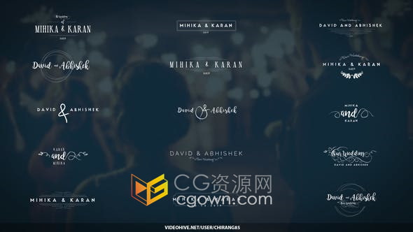 AE模板-30个复古婚礼徽章图标浪漫婚礼标题动画