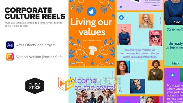 AE模板-现代干净利落风格竖屏垂直版企业文化介绍公司业务宣传展示