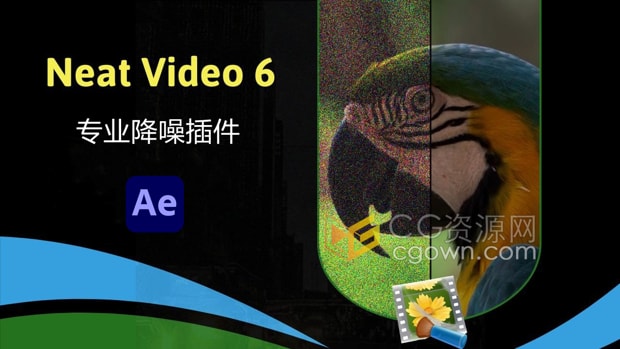 Neat Video Pro 6.0.0 for After Effects 专业视频降噪AE插件
