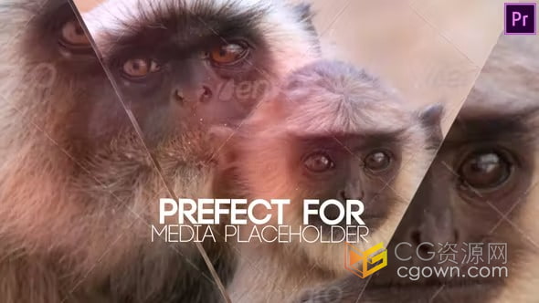 照片动画线条分割简单玻璃镜面效果视频相册-PR模板