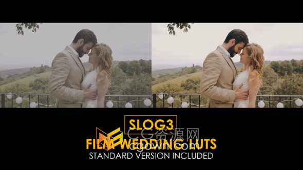PR预设-浪漫婚礼电影纪录片LUT调色预设免费下载
