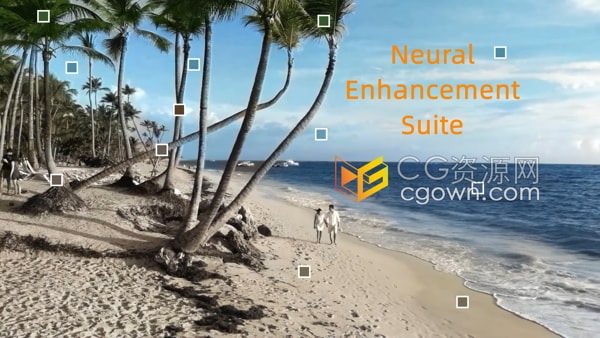 AE&PR插件Neural Enhancement Suite v1.5.8人工智能AI修复视频画面降噪工具