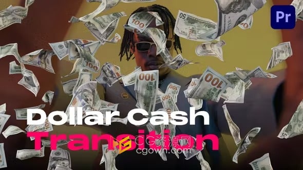 11个纸币美元现金飞行钞票过渡效果-PR模板