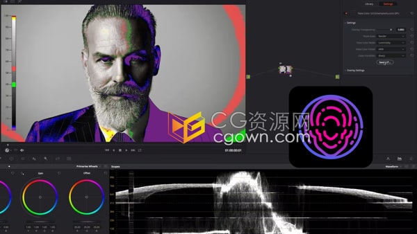 False Color v3.80 曝光监控和镜头匹配伪色插件