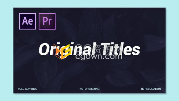 AE模板/PR预设-30个4K独特文本动画原始标题展示视频介绍电视旅行节目宣传