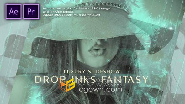 AE与PR模板-光线粒子墨水动画幻想豪华幻灯片开场视频相册