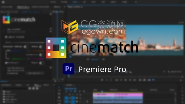 CineMatch v1.12b PR插件摄像机色彩空间匹配调色工具