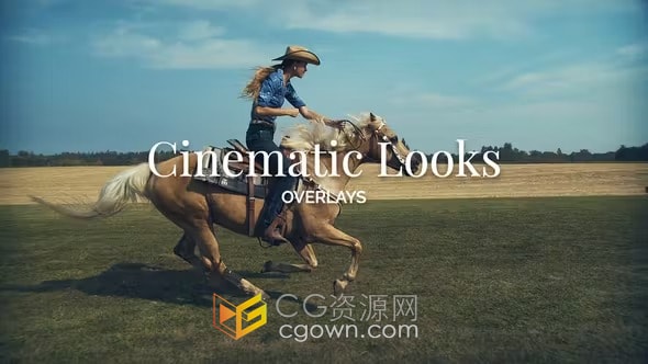 10组电影级视频调色效果预设PR模板Cinematic Looks