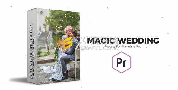 PR预设-浪漫色调梦幻婚礼色彩分级调色预设免费下载