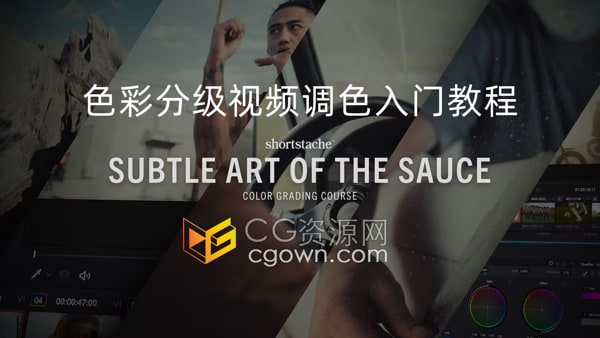 色彩分级视频调色LUTs入门教程PR与DaVinci Resolve软件