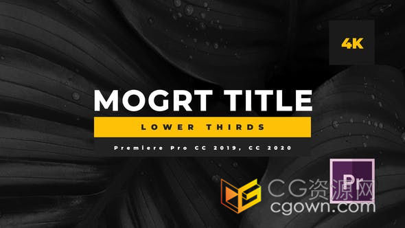 14个清晰简单公司标题文字动画优雅字幕条PR预设免费下载