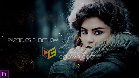 PR模板-金色粒子元素人物肖像照片宣传介绍动画视频幻灯片