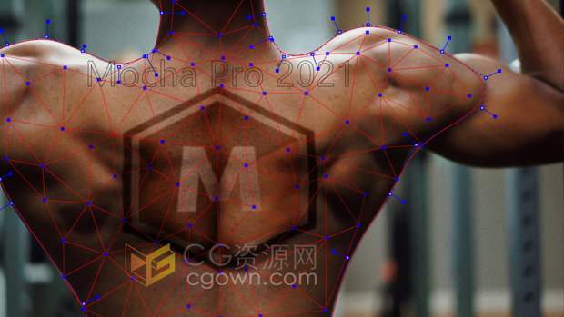 Mocha Pro 2022 v9.0.1摄像机反求跟踪软件与Adobe/OFX插件版本