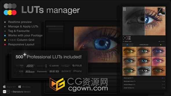 500个LUTs用于视频图像专业调色预设+LUTs Manager实时批量预览AE&PR脚本