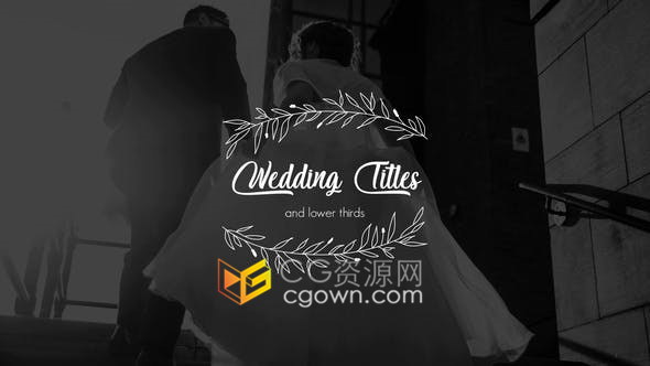 Wedding Titles婚礼视频介绍新郎新娘徽章元素文字标题动画字幕-PR模板