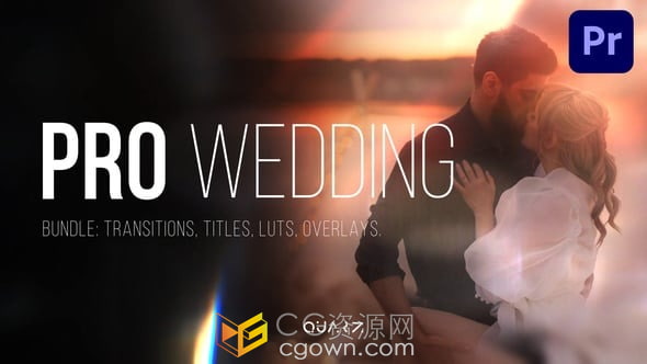 Premiere专业婚礼视频剪辑套装–转场、标题、LUT调色、效果叠加