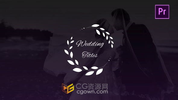 4K分辨率Wedding Titles婚礼标题浪漫徽章标签设计动画11种效果-PR模板