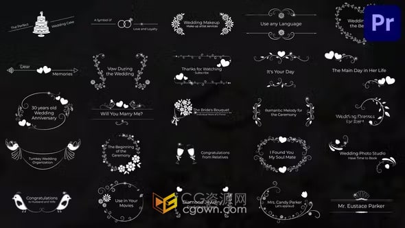 浪漫的文本动画PR模板55个简约婚礼标题