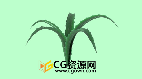 C4D教程 芦荟植物建模贴图制作生长动画整个过程 Cinema4D视频教程