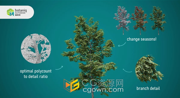 Botaniq V1.0 Maya插件130种植物树木草地模型预设