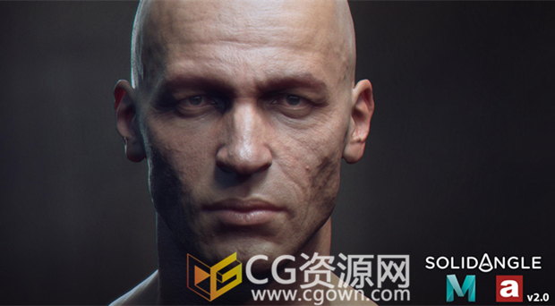 Maya插件Arnold渲染器SolidAngle MtoA v5.4.7.1版本下载