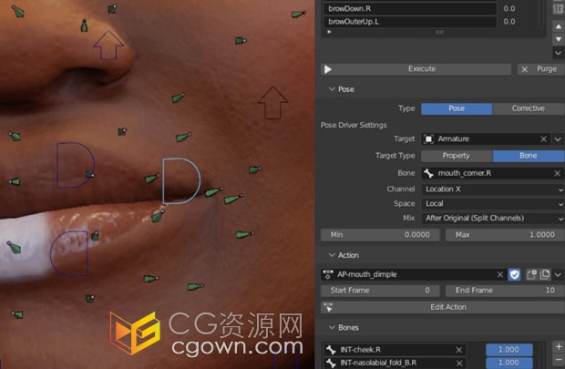 Blender插件ActionPoser v1.0骨骼绑定插件