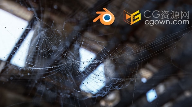 Blender插件Spider Web Generator蜘蛛网生成器