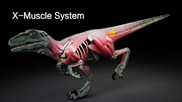 Blender插件X-Muscle System 3.0肌肉组织系统模拟器