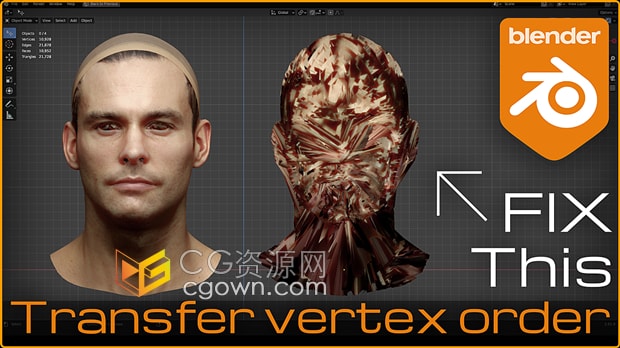 Blender插件Transfer Vertex Order v2.3转移顶点顺序