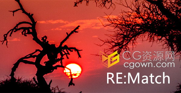 OFX插件Vegas/Nuke/达芬奇/HitFilm软件RE:Match v2.2色彩匹配工具