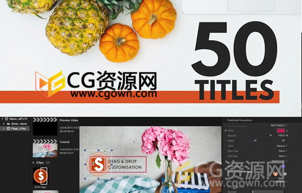FCPX 50 Titles字幕条插件 影片包装文字标题动画预设