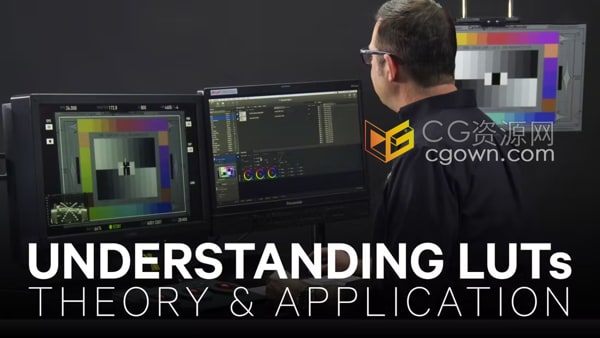 全面了解LUTs理论与应用达芬奇教程DaVinci Resolve