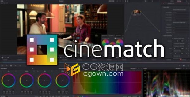 CineMatch v1.10 Resolve达芬奇插件摄像机色彩空间匹配调色工具