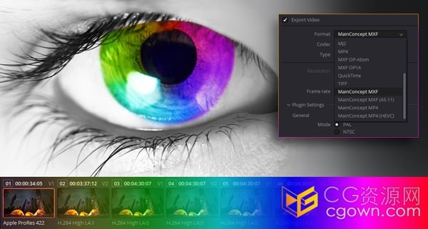 达芬奇视频渲染编解码器输出插件MainConcept Codec Plugin DaVinci Resolve v1.4