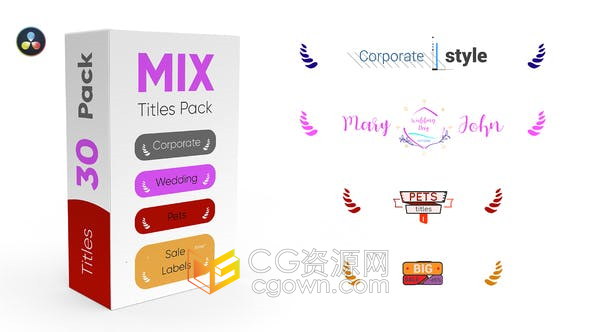 12个企业6个婚礼6个宠物6个销售标签字幕条文字标题动画-Resolve模板