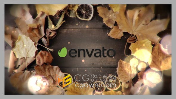 Resolve模板-Autumn Logo秋季金色叶子木板背景视频片头LOGO动画