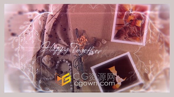 DR达芬奇模板-鹅卵石贝壳装饰品场景回忆照片幻灯片视频相册