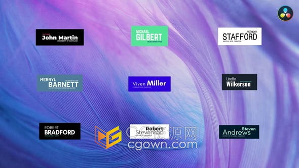 DR达芬奇模板-经典的人名字幕条标题介绍信息内容窗口文本框动画