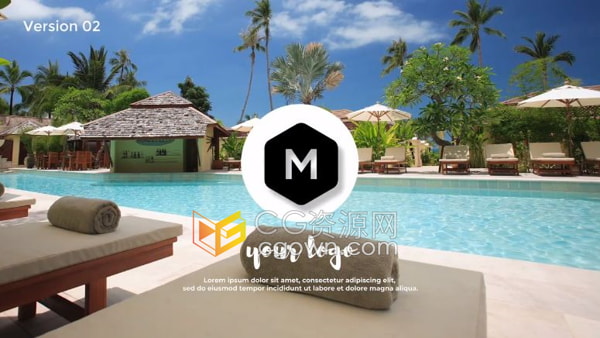 DR达芬奇模板3d优雅流畅标志LOGO动画
