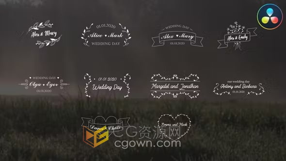 DR达芬奇模板-酷炫歌词封面邀请函婚礼文字标题动画Wedding Titles