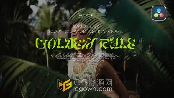 Cinematic Titles DR模板10种电影片名标题动画效果