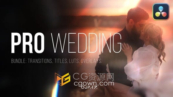 高级感婚礼包装含过渡标题LUTS调色合成等元素-DR达芬奇模板