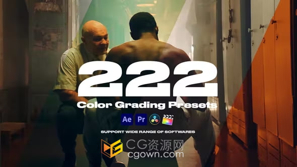 222种专业LUTS调色预设适合各种社交媒体短视频滤镜婚庆照片电影等