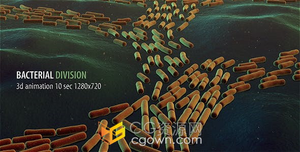 细菌分裂动画生物学医疗医学分子结构病毒研究元素-视频素材