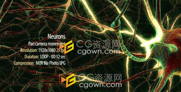 神经元网络树突大脑思维生物医学教育解释性视频素材