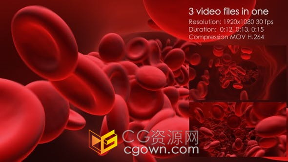 红细胞流动3D动画用于生物医学教育药物解释性视频