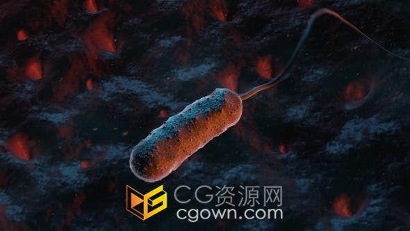 创伤弧菌移动细菌3D动画显微镜下病毒研究教育/解释视频