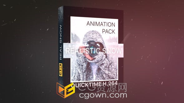 21个逼真的4K分辨率完美降雪下雪效果雪动画视频素材